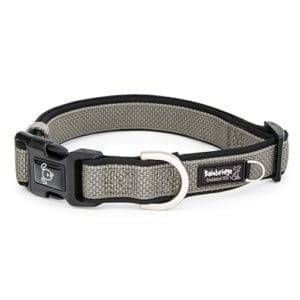 Grey Dog Collar