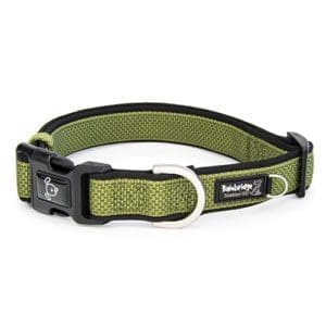 Green dog collar