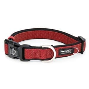 Red dog collar