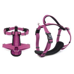 Pink dog harness