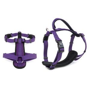 purple dog harness