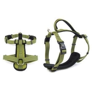 Green dog harness