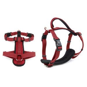 Red dog harness