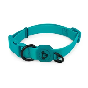 aqua dog collar