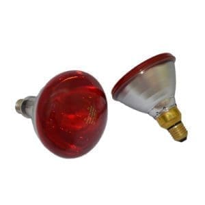 Infrared Light Bulb 175w (Phillips)