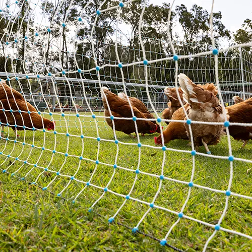 Poultry Net - Electric, Electric Chicken Fence