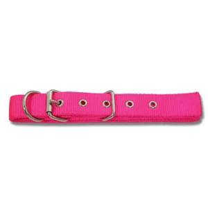 hot pink dog collar