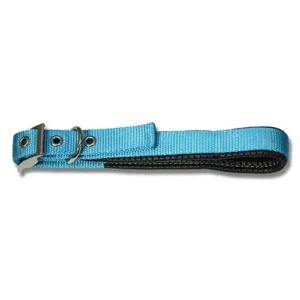 Aqua dog collar