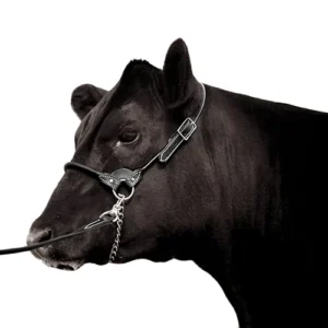 Black leather cow halter