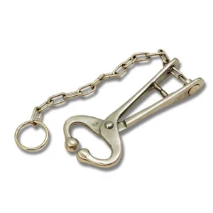 bull lead chain