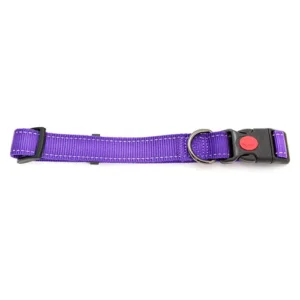 Purple dog collar