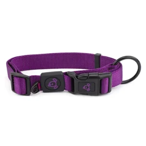 Purple dog collar