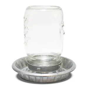 Galvanised Chicken Drinker or Feeder - Glass Mason Jar