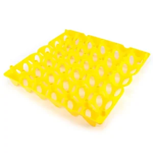 Plastic Poultry Egg Tray