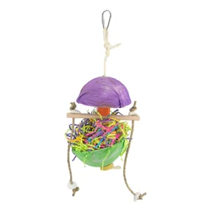 buy bird toy online