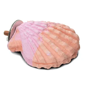 Bird Perch - Calcium Clam Shell