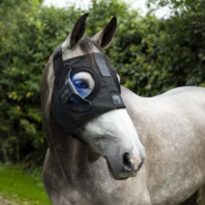 Equilume Australia